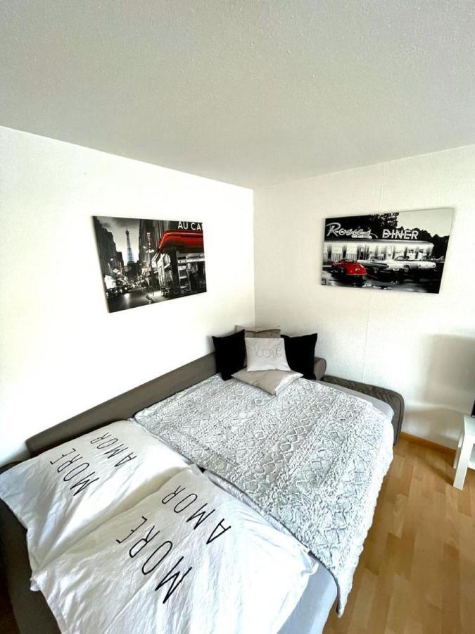 Nice And Comfortable, Centrally Located Apartment Rheinfelden  Ngoại thất bức ảnh